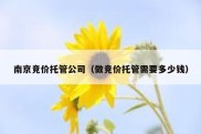 南京竞价托管公司（做竞价托管需要多少钱）