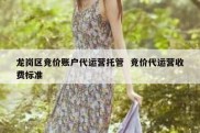 龙岗区竞价账户代运营托管  竞价代运营收费标准