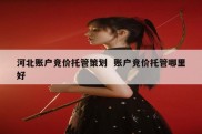 河北账户竞价托管策划  账户竞价托管哪里好