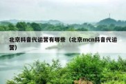 北京抖音代运营有哪些（北京mcn抖音代运营）
