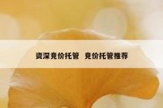 资深竞价托管  竞价托管推荐