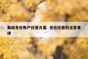 襄阳竞价账户托管方案  竞价托管的注意事项