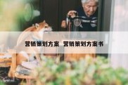 营销策划方案  营销策划方案书