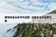 聊城抖音企业号代运营  抖音企业代运营方案