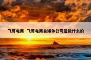 飞哥电商  飞哥电商自媒体公司是做什么的
