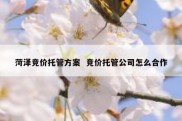 菏泽竞价托管方案  竞价托管公司怎么合作
