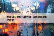 龙岗SEM竞价托管代理  深圳sem竞价代运营