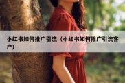 小红书如何推广引流（小红书如何推广引流客户）