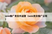sem推广竞价代运营（sem竞价推广公司）