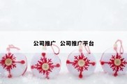 公司推广  公司推广平台