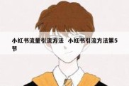 小红书流量引流方法  小红书引流方法第5节