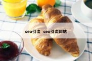seo引流  seo引流网站