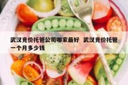 武汉竞价托管公司哪家最好  武汉竞价托管一个月多少钱