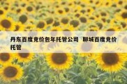 丹东百度竞价包年托管公司  聊城百度竞价托管