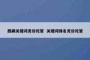 西藏关键词竞价托管  关键词排名竞价托管