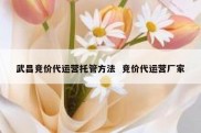 武昌竞价代运营托管方法  竞价代运营厂家