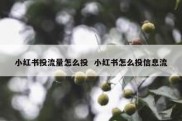 小红书投流量怎么投  小红书怎么投信息流