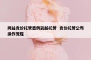 网站竞价托管案例凯越托管  竞价托管公司操作流程