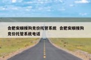 合肥安顺搜狗竞价托管系统  合肥安顺搜狗竞价托管系统电话