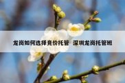 龙岗如何选择竞价托管  深圳龙岗托管班