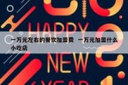 一万元左右的餐饮加盟费  一万元加盟什么小吃店