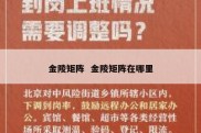 金陵矩阵  金陵矩阵在哪里