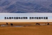 怎么提升流量和点赞数  怎样才能提升流量