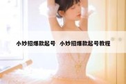小妙招爆款起号  小妙招爆款起号教程