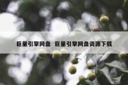 巨量引擎网盘  巨量引擎网盘资源下载