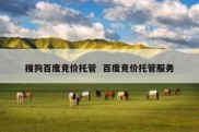 搜狗百度竞价托管  百度竞价托管服务