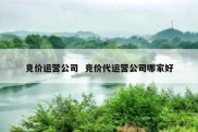竞价运营公司  竞价代运营公司哪家好