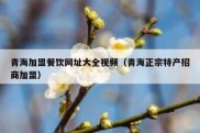 青海加盟餐饮网址大全视频（青海正宗特产招商加盟）