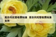 竞价代托管收费标准  竞价代托管收费标准文件