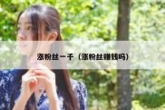 涨粉丝一千（涨粉丝赚钱吗）