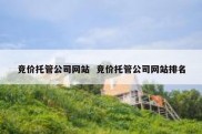 竞价托管公司网站  竞价托管公司网站排名