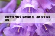 深圳专业的抖音代运营团队  深圳抖音带货团队