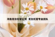 河南竞价托管公司  竞价托管专业团队