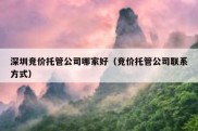 深圳竞价托管公司哪家好（竞价托管公司联系方式）