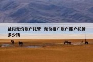 益阳竞价账户托管  竞价推广账户账户托管多少钱