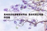 贵州竞价托管哪家好专业  竞价托管公司操作流程