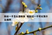 粉丝一千怎么涨粉快  粉丝过一千可以发什么福利