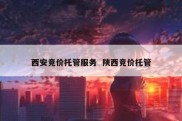 西安竞价托管服务  陕西竞价托管