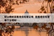 好口碑的百度竞价托管公司  百度竞价托管哪个公司好