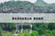 章丘竞价托管公司  章丘拍卖