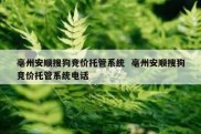 亳州安顺搜狗竞价托管系统  亳州安顺搜狗竞价托管系统电话