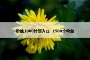 粉丝1000计划入口  1500个粉丝