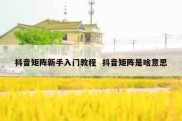抖音矩阵新手入门教程  抖音矩阵是啥意思