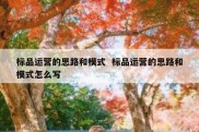 标品运营的思路和模式  标品运营的思路和模式怎么写