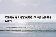 天津网站竞价托管收费吗  天津竞价需要什么条件