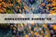 梅州网站竞价托管案例  竞价网络推广托管